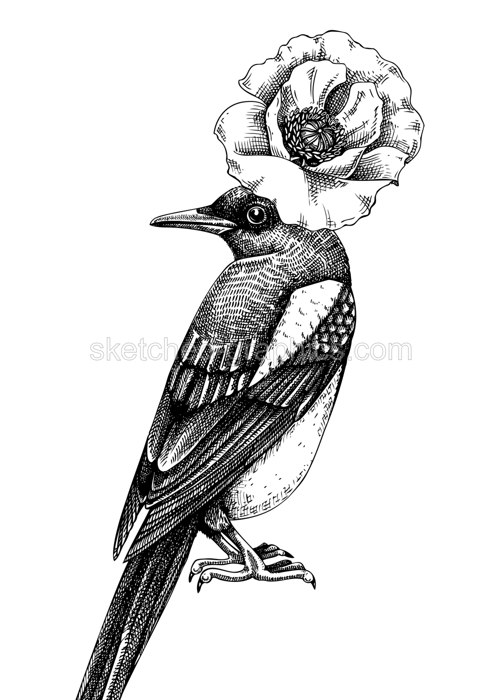 Artistic illustration with magpie in sketch style. Hand drawn design with bird and poppy flower. Wild life vector drawing. Perfect for print, poster, card, social media posts, wall art. Illustration